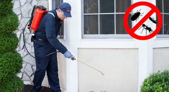 İçmeler Bit İlaçlama böcek ilaçlama ve haşere kontrolü — ilaclama-tr.com